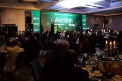 Dr Amit Patel at Auction Dr Amit Patel at Auction